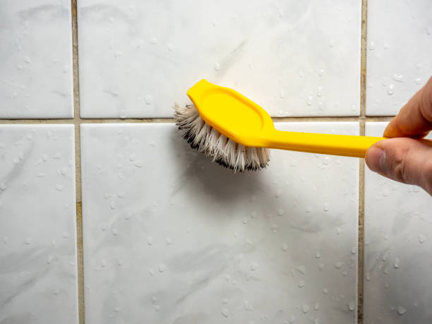 Best Emergency Mold Removal  in Carey, ID