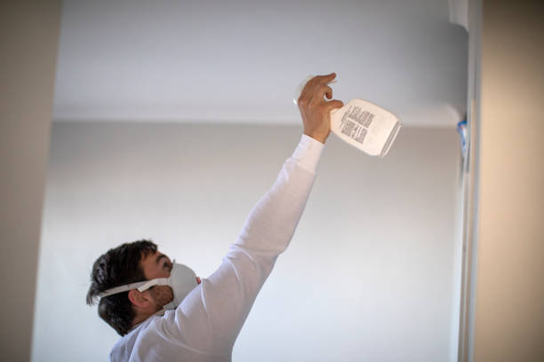 Best Mold Cleaning Services  in Carey, ID