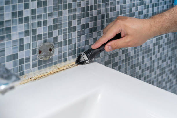 Professional Mold Removal in Carey, ID